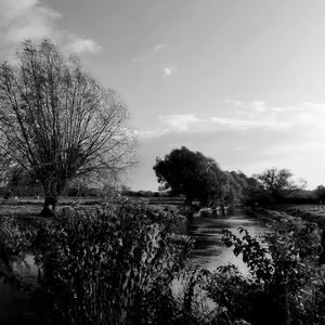 Rivière bordée d'arbres serpente dans les champs en noir et blanc - France  - collection de photos clin d'oeil, catégorie paysages